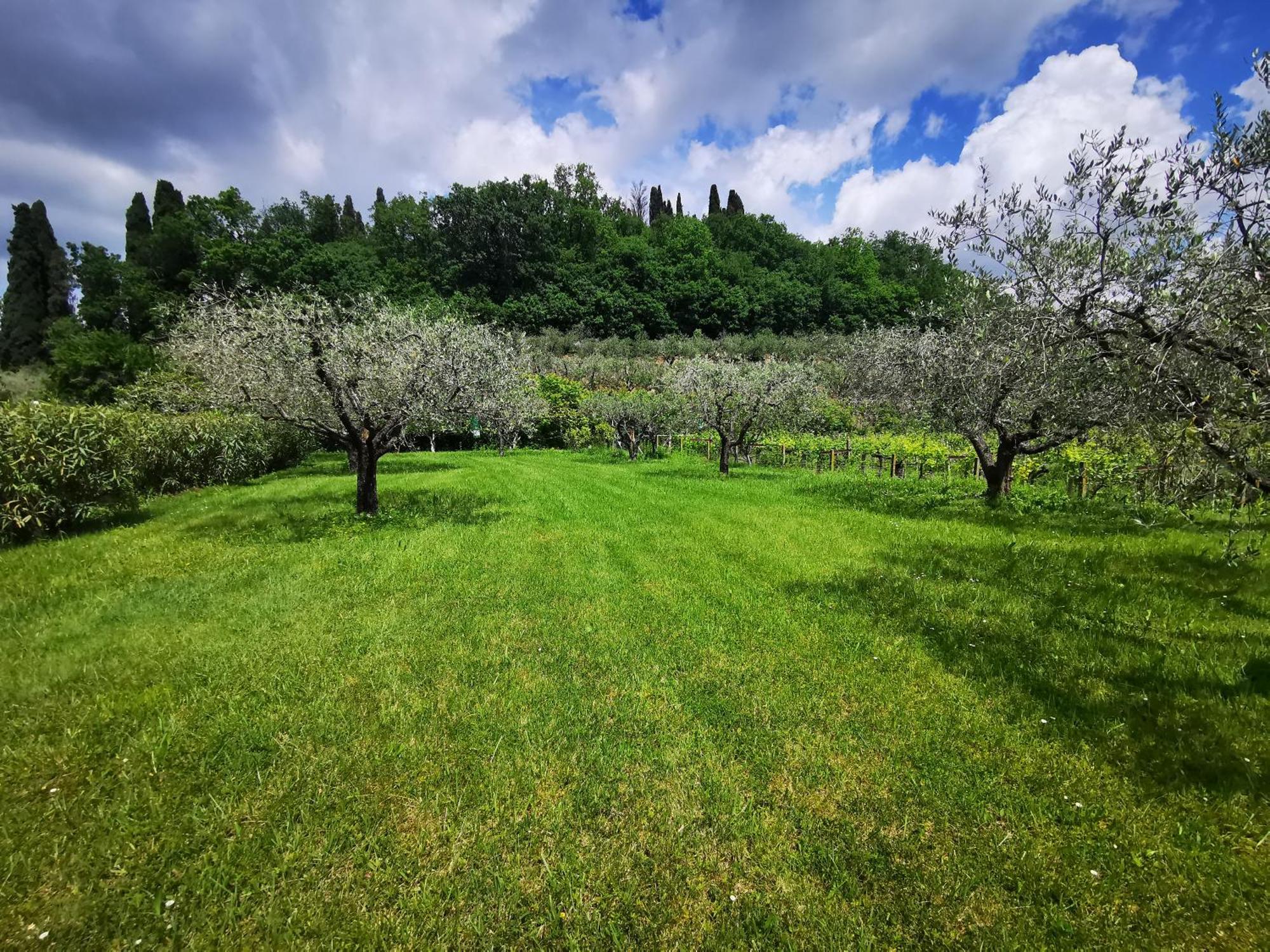 Casa Ghirlanda Con Piscina E Campo Da Tennis Lazise Bagian luar foto